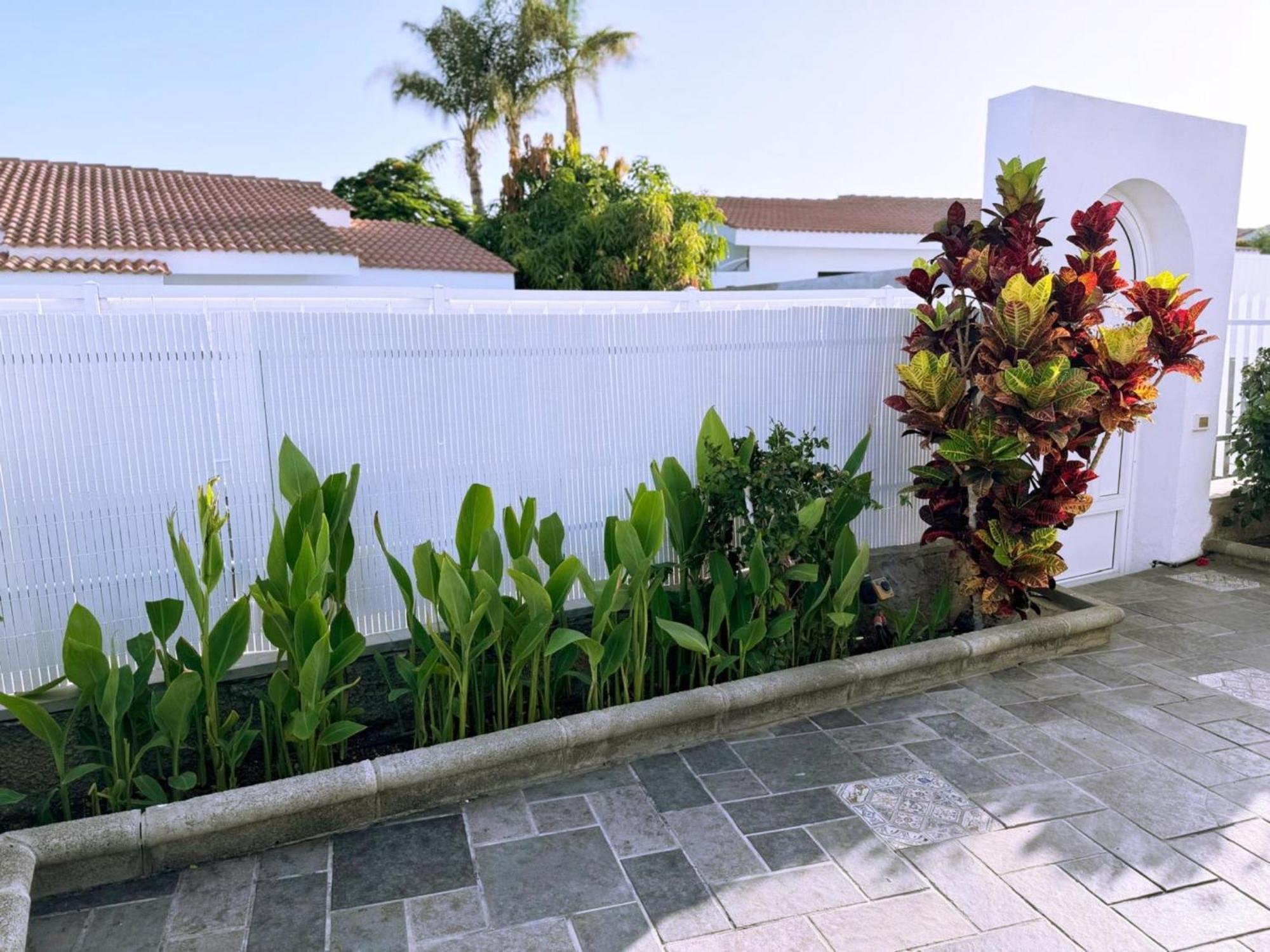 Hibiscus Playa del Inglés