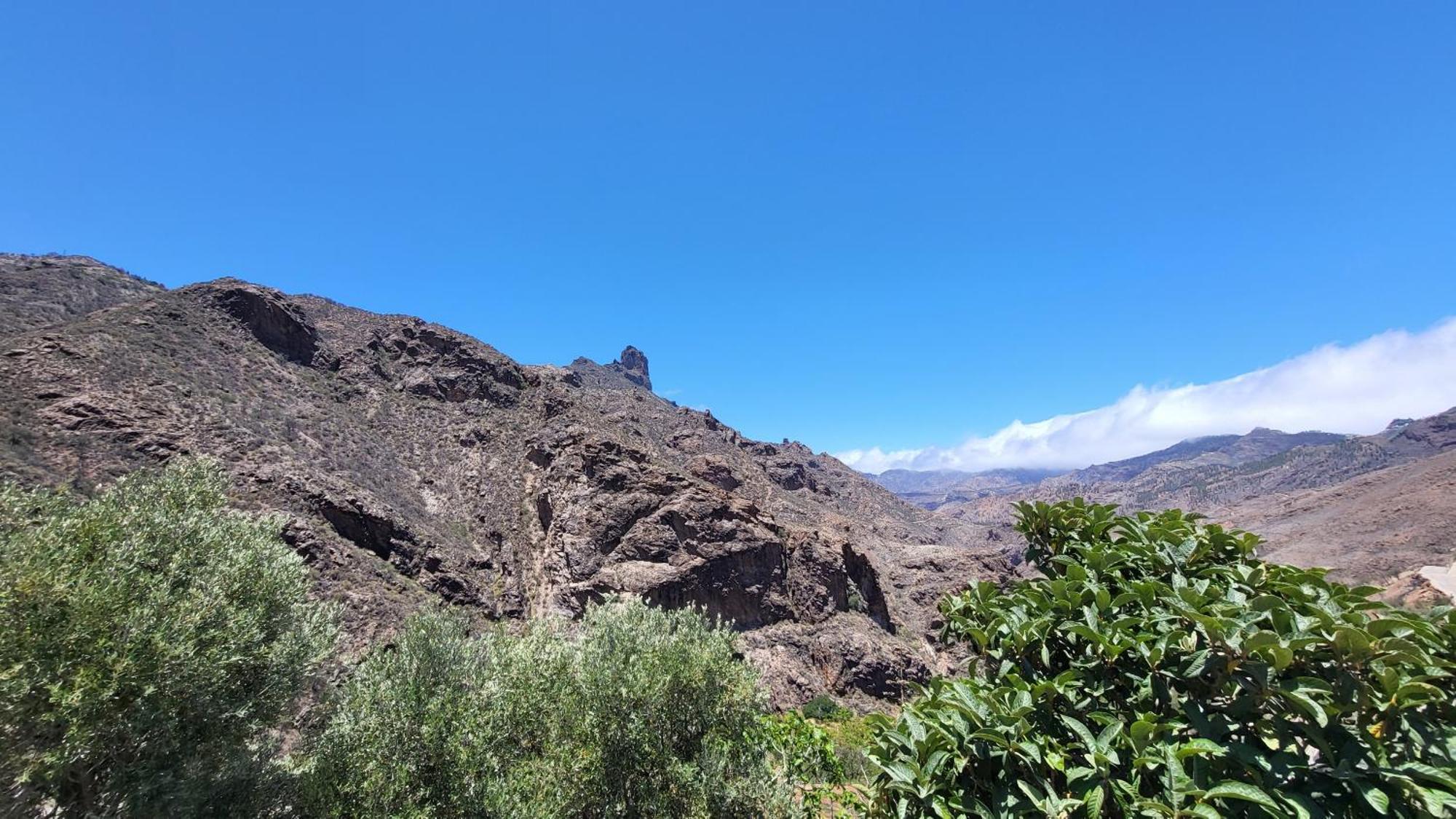 Rural La Montana Tejeda (Gran Canaria)