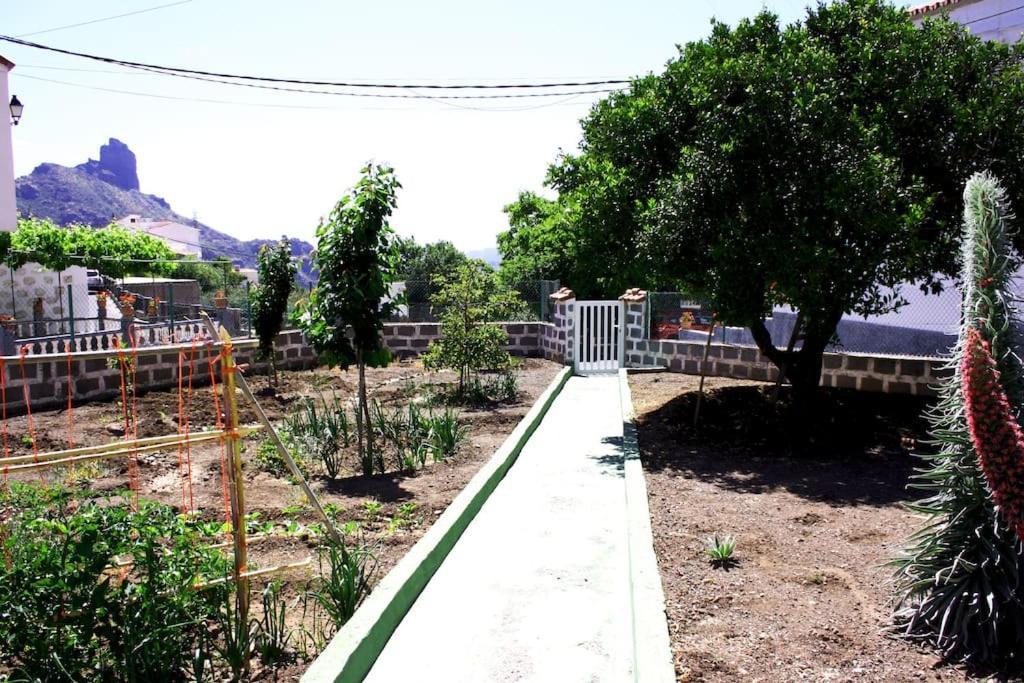 Сasa de vacaciones La Casita De Coco Tejeda (Gran Canaria)