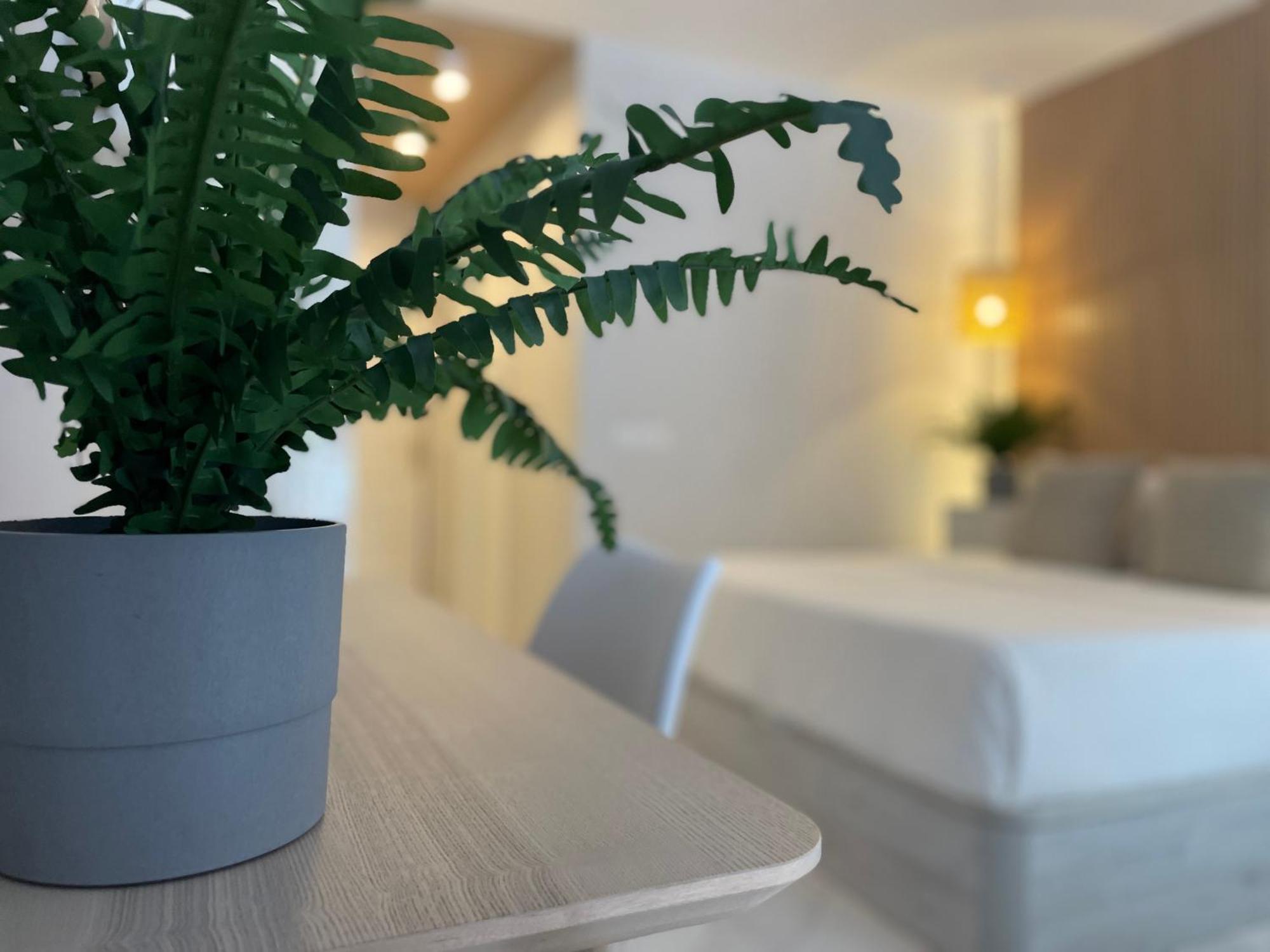 Apartamento Danubio 109