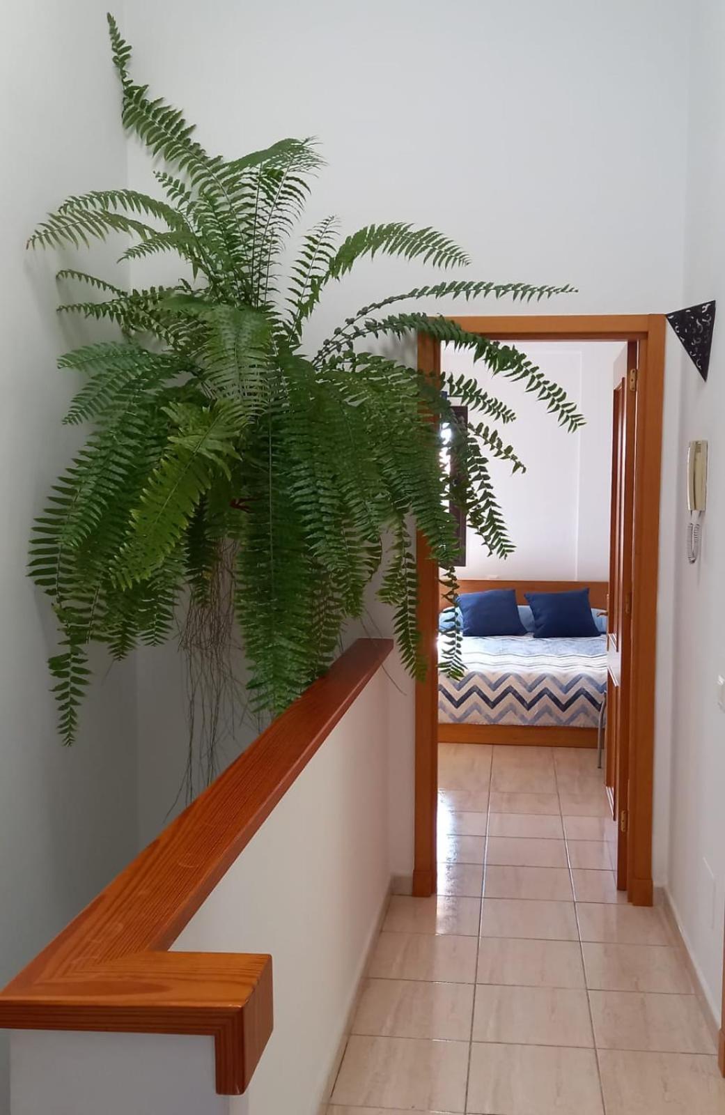 Melrose Place 2 Y Piscina En Vecindario (Gran Canaria)