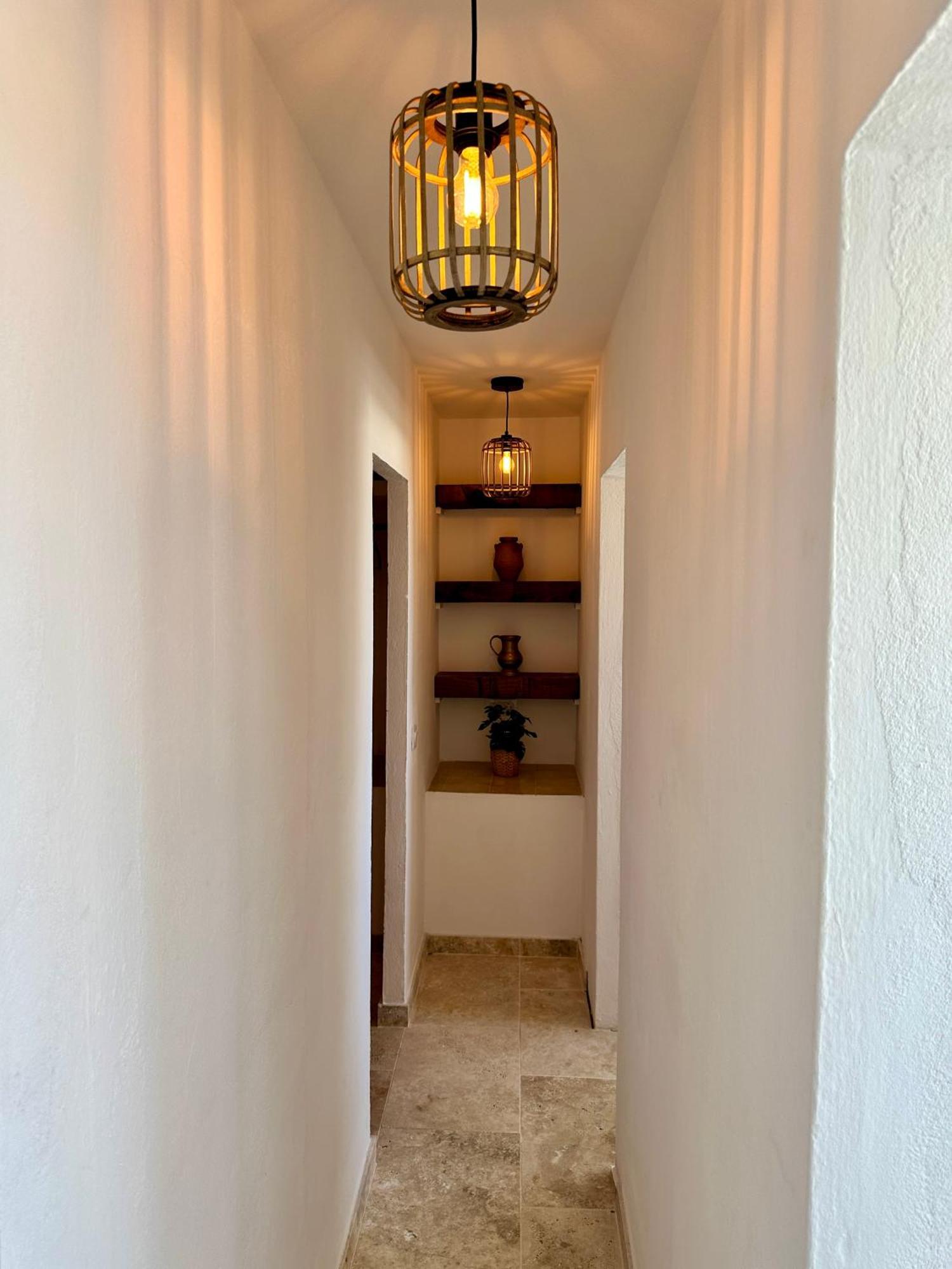 Apartment Palm Leaf Mogan