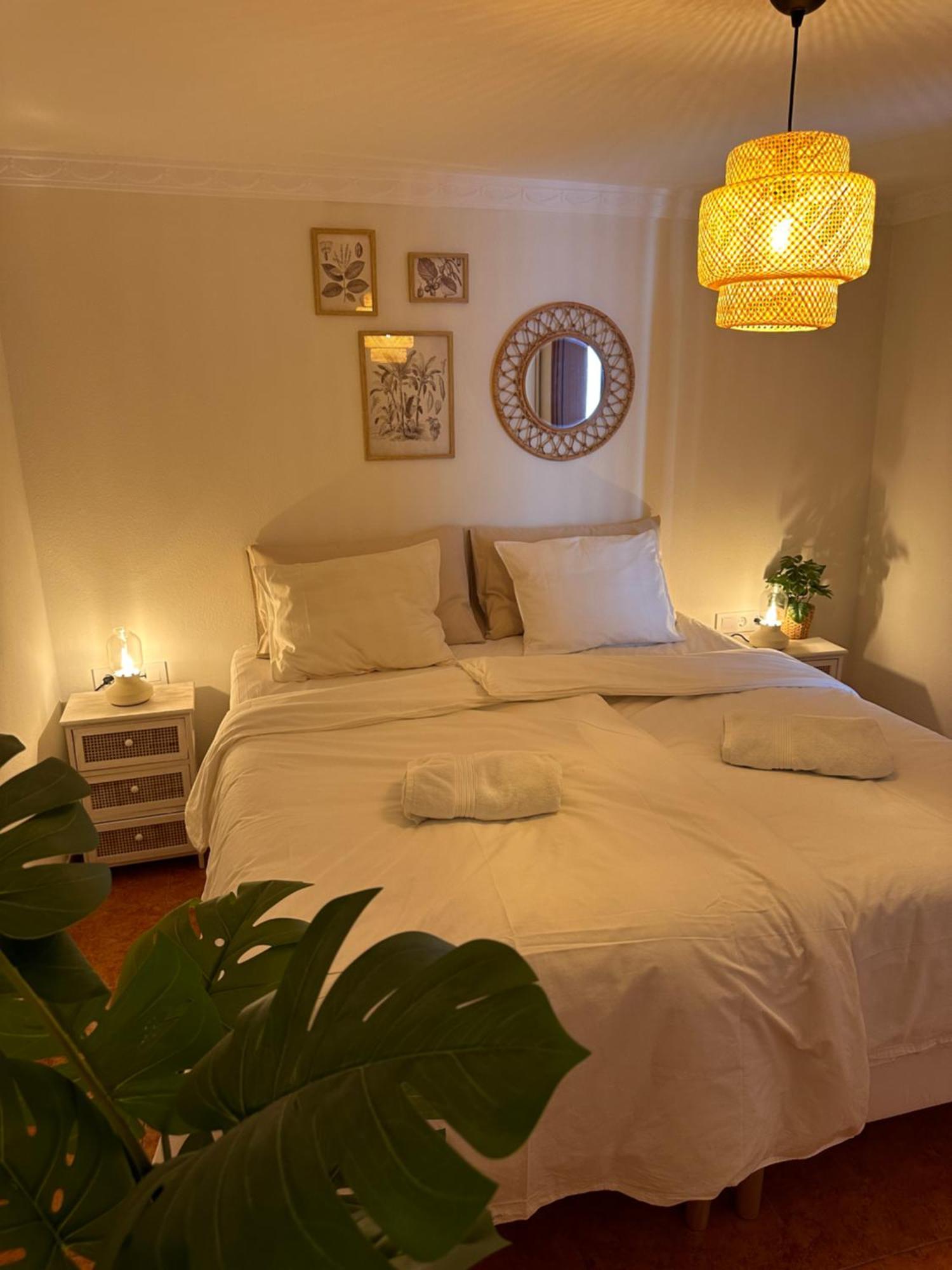 Apartment Palm Leaf Mogan