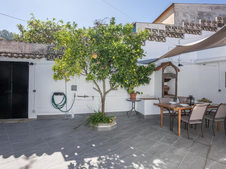 El Patio Del Naranjo By Canarias Homelidays * Valleseco