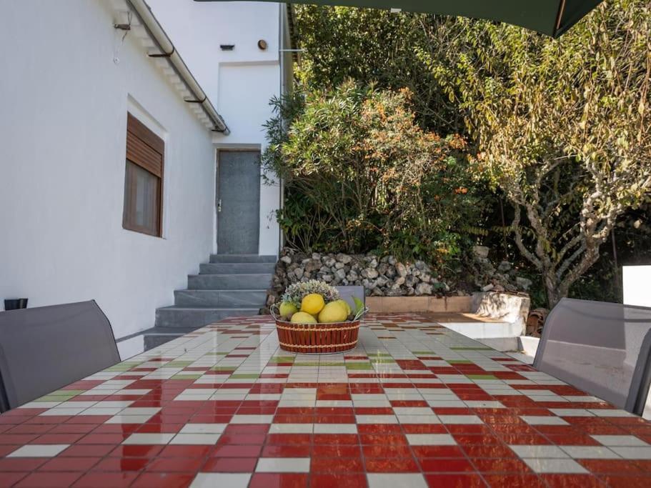 El Patio Del Naranjo By Canarias Homelidays