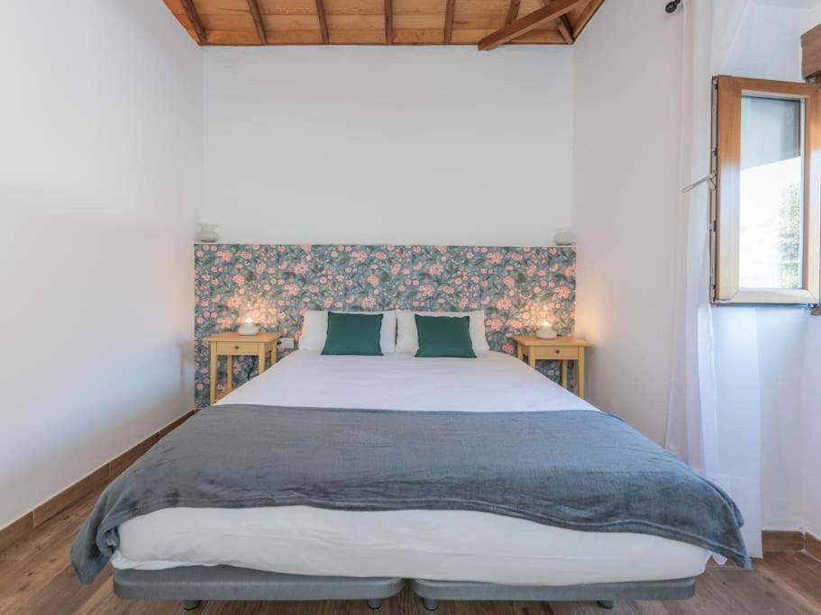 El Patio Del Naranjo By Canarias Homelidays Valleseco