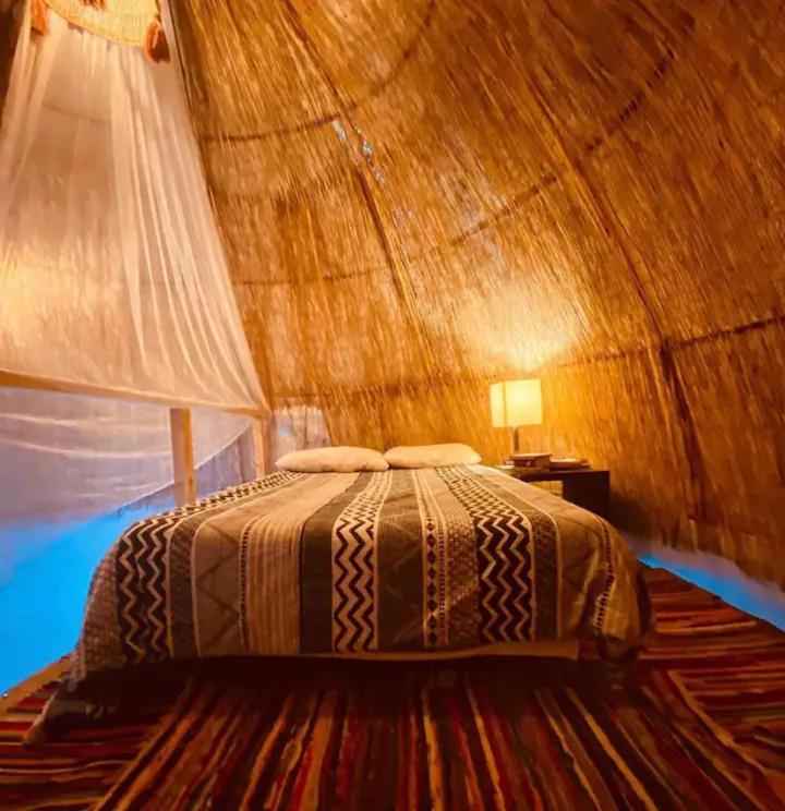 Campsite Casa Caracol - Oaxaca Agaete (Gran Canaria)