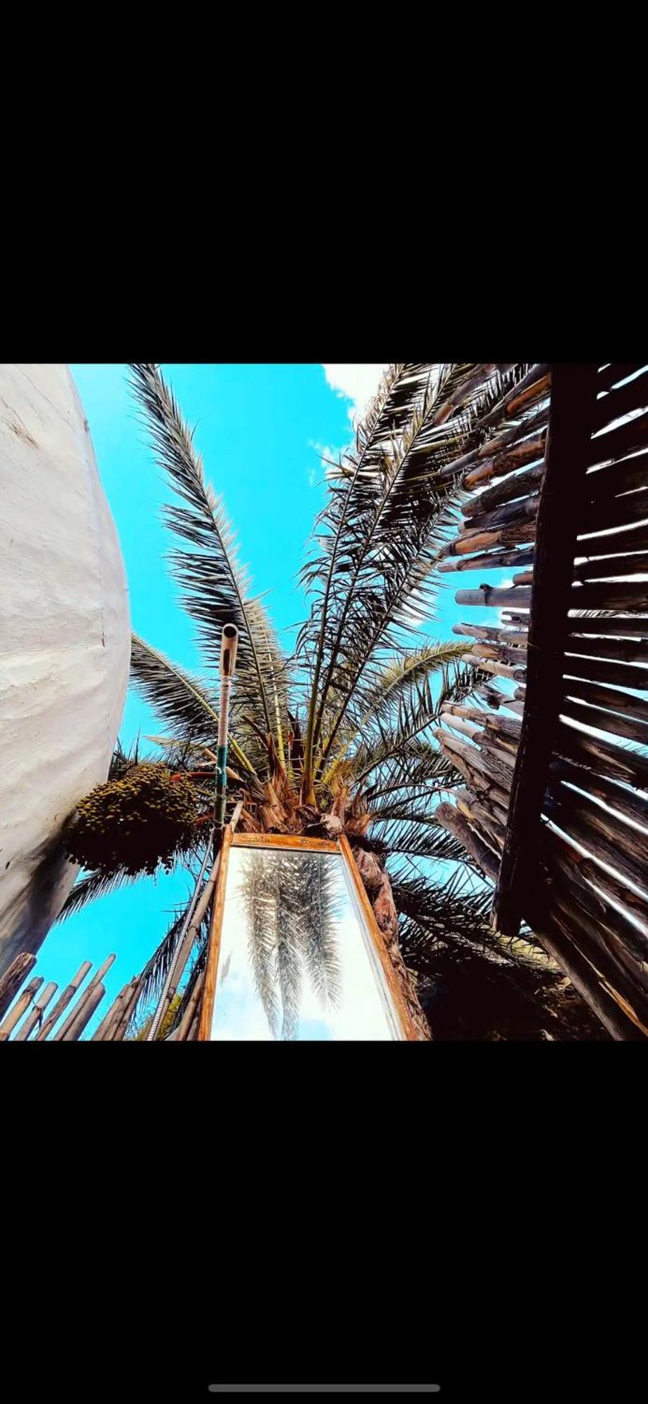 Campsite Casa Caracol - Oaxaca Agaete (Gran Canaria)