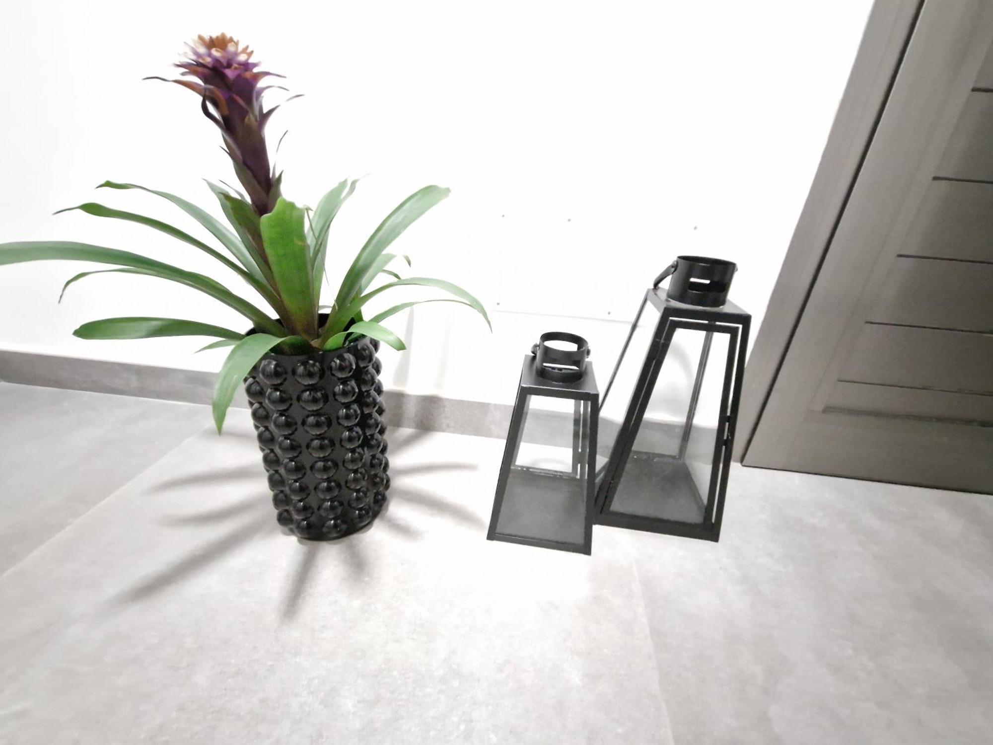 Ocean Surf Apartamento Playa Del Hombre