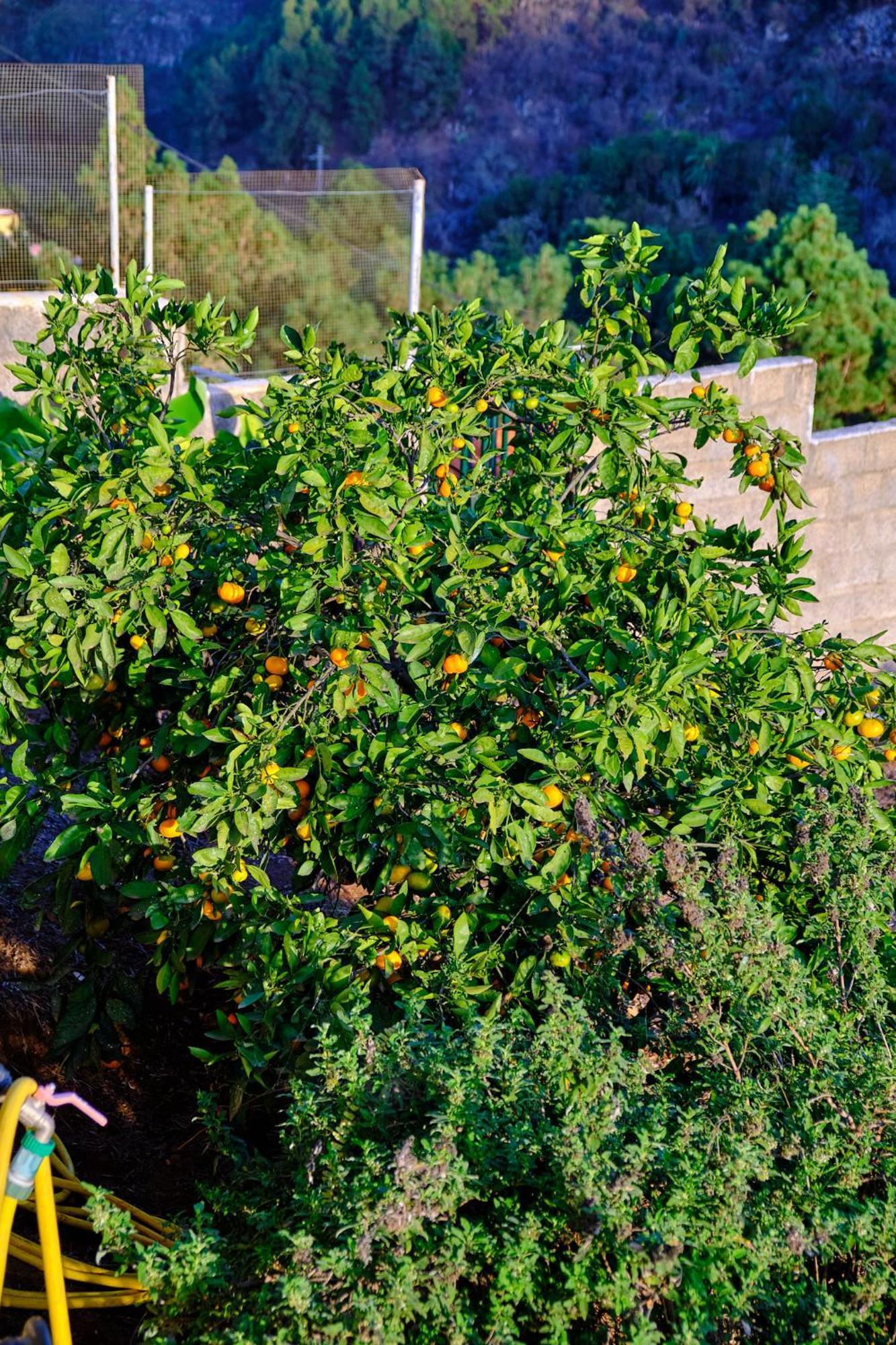 Holiday home Casa Luisa