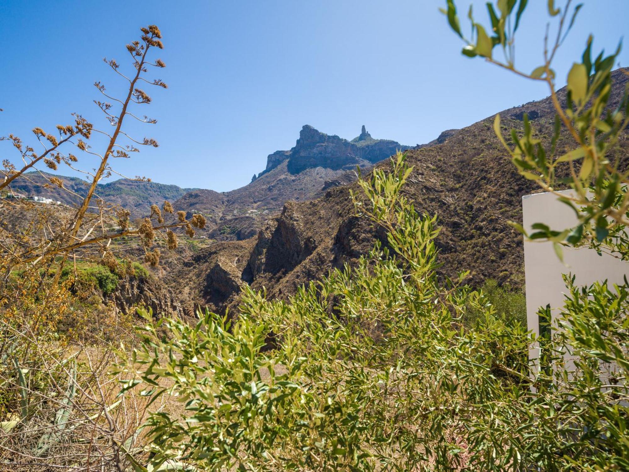Rural La Montana Tejeda (Gran Canaria)