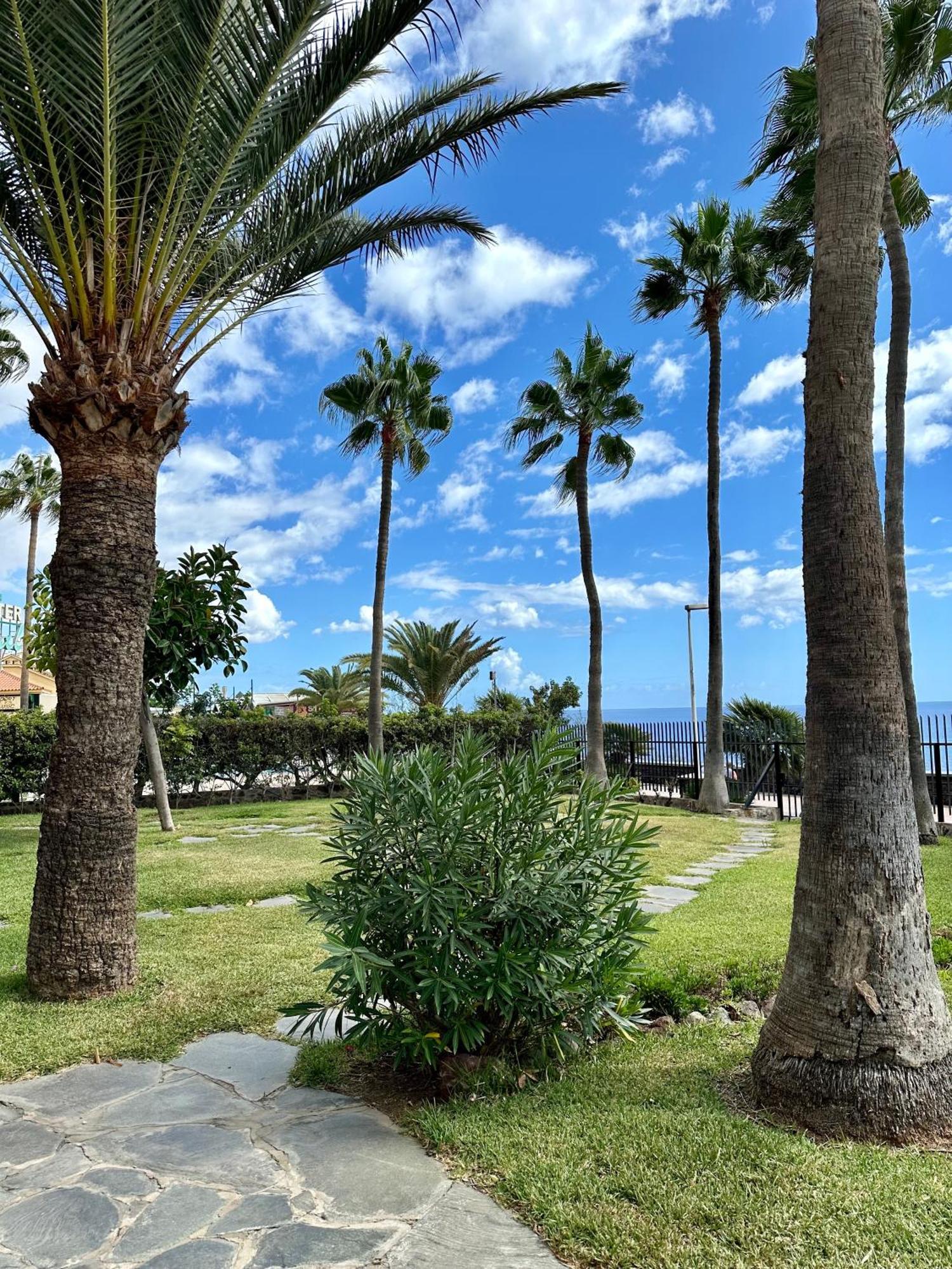 Arpones 15 * San Bartolomé