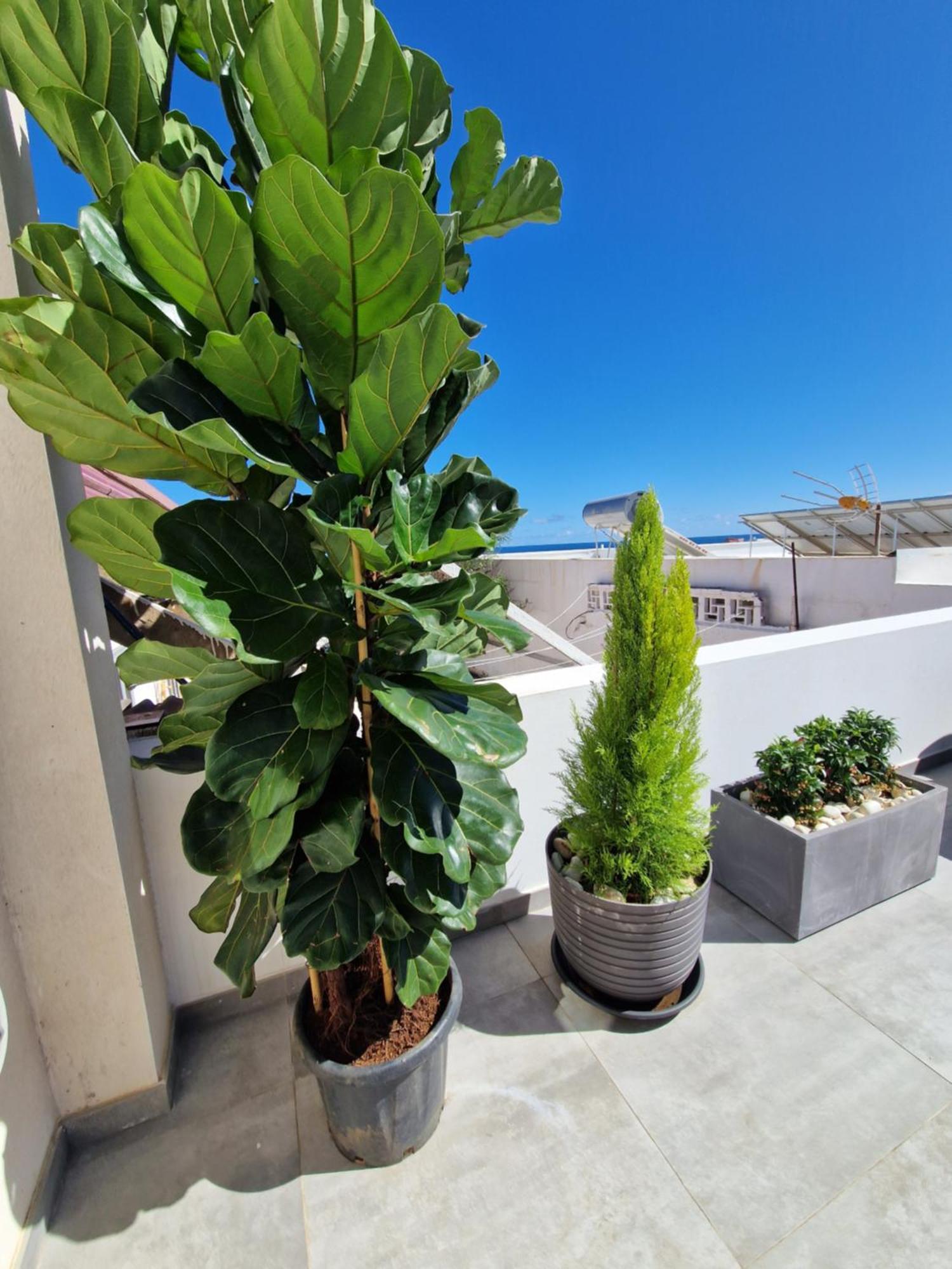 Ocean Surf Apartamento