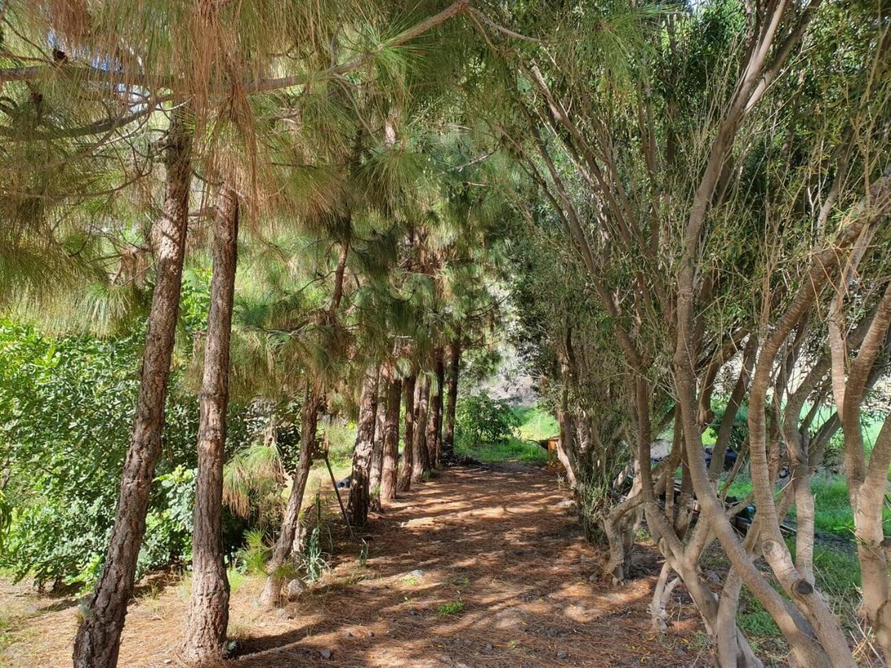 Arenales By Rivero Casa vacanze Tasarte