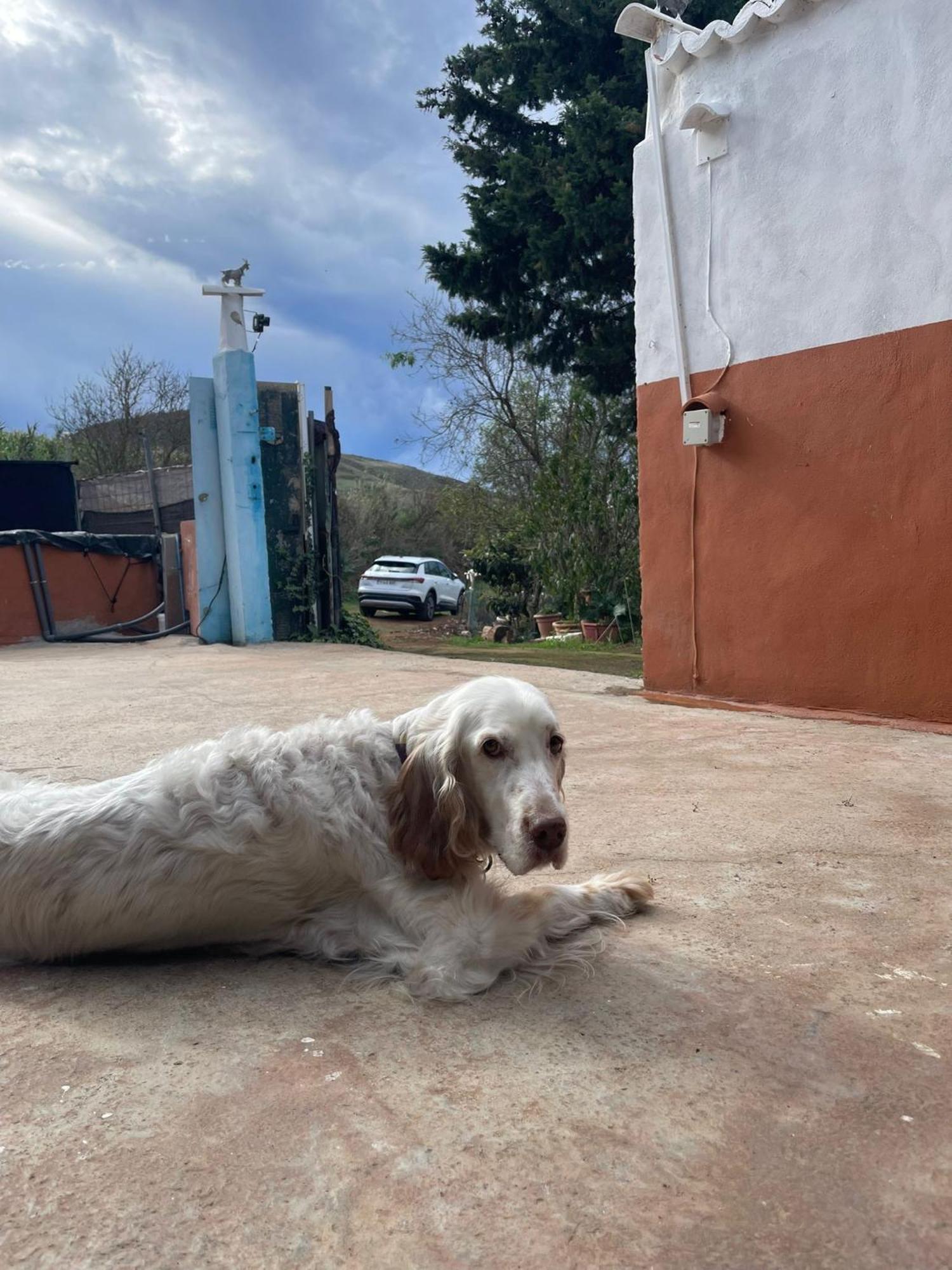 El Lomo