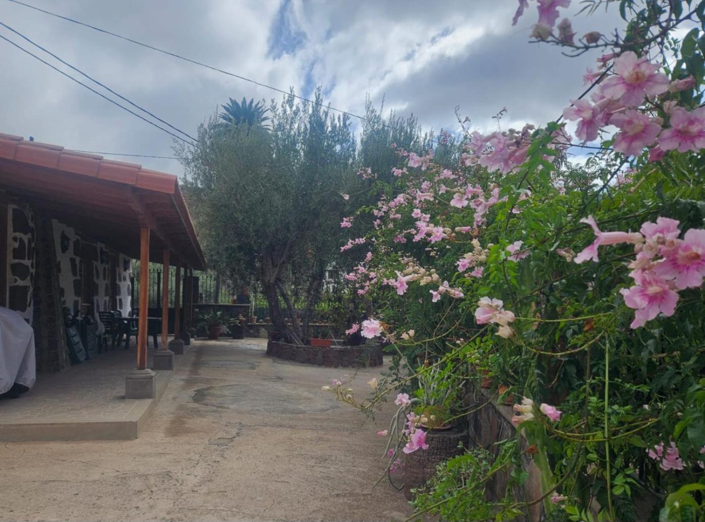 Casa Rosiana Holiday home