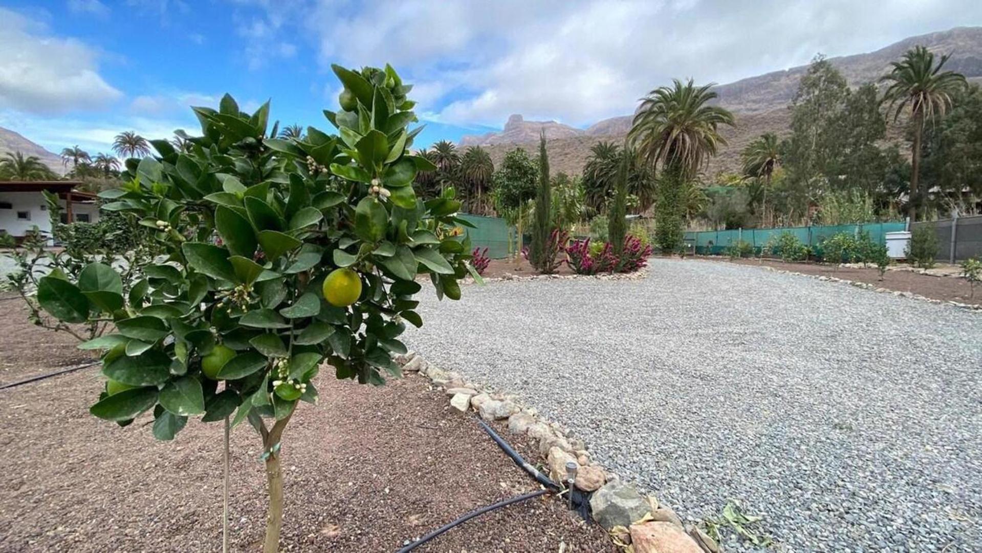 Large Near Maspalomas & Fataga *