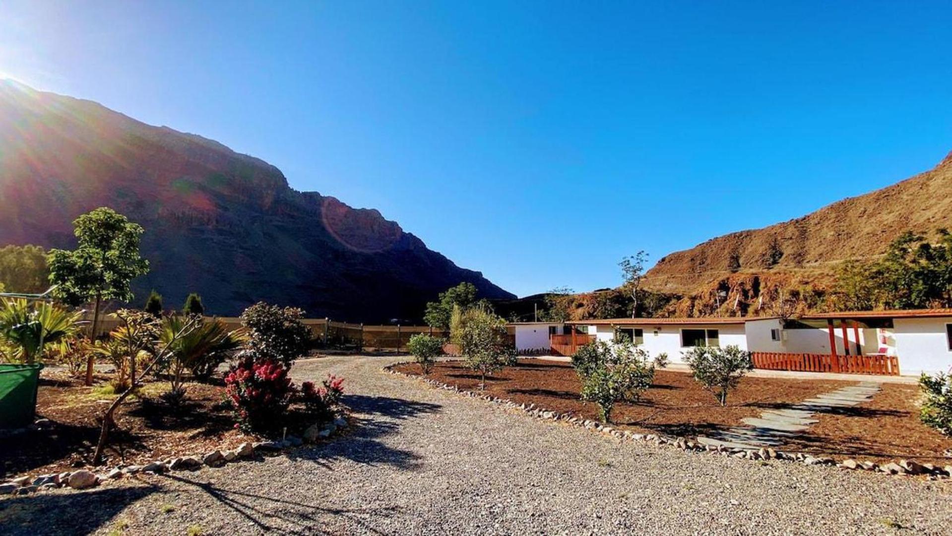 Large Near Maspalomas & Fataga