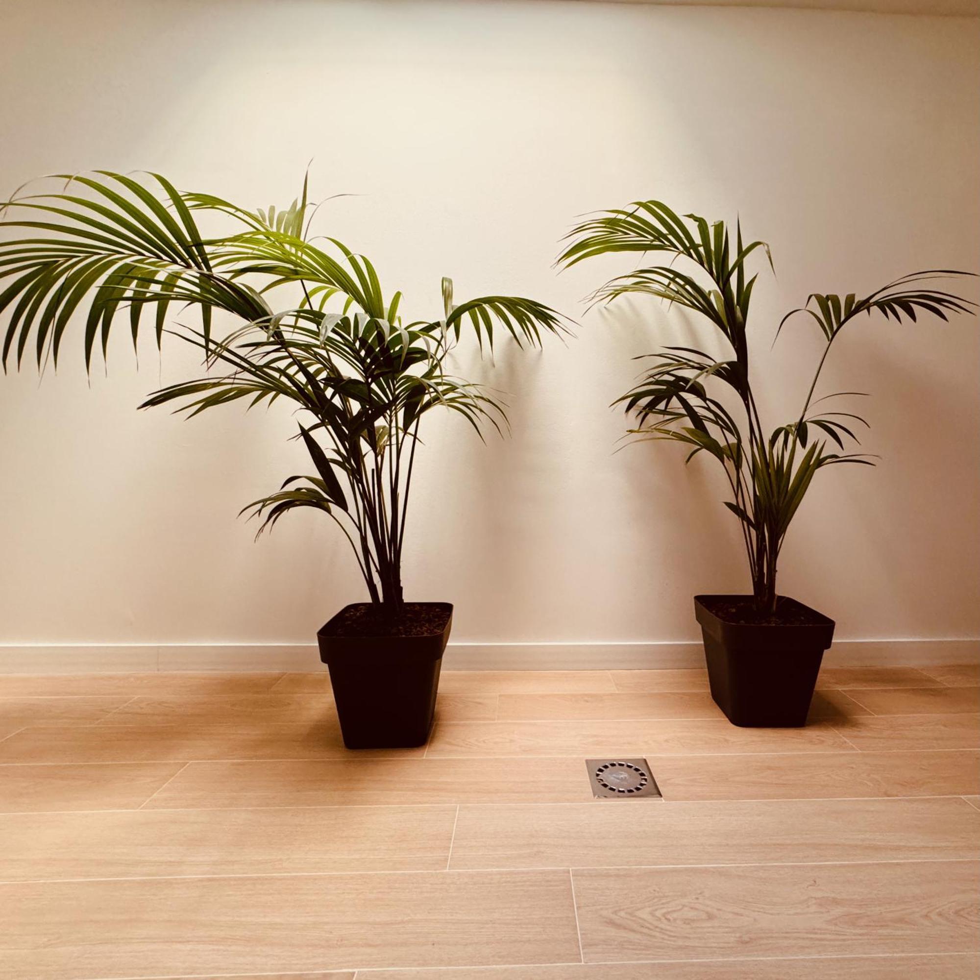 Click&guest - Jungle House In Maspalomas Casa vacanze