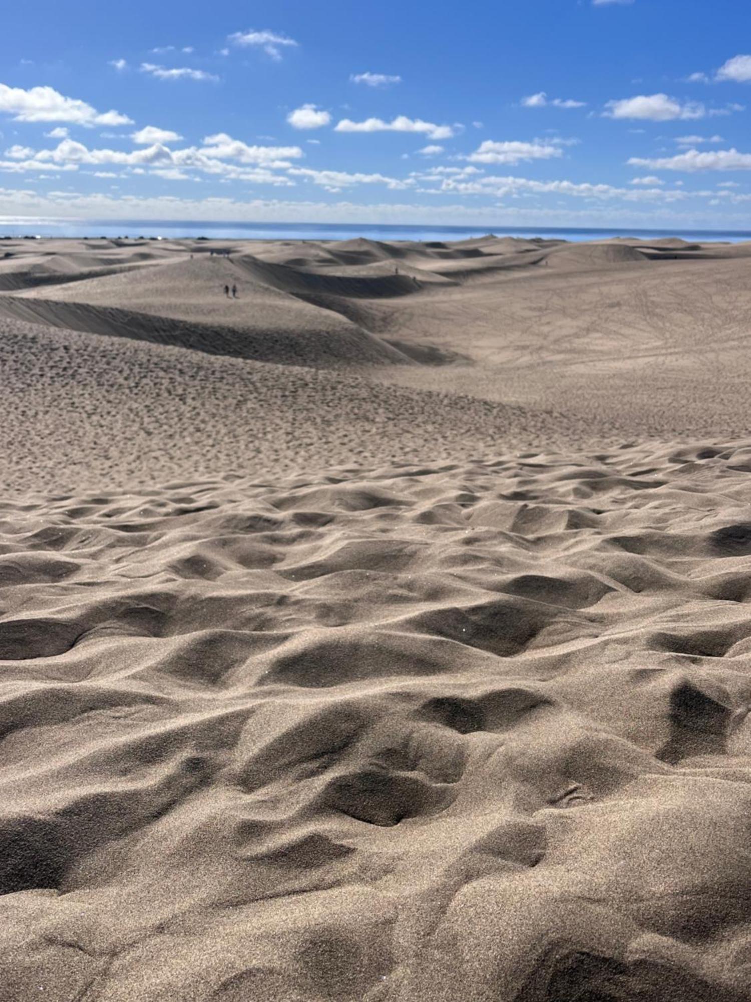 Apartamento Dunas Maspalomas (Gran Canaria)