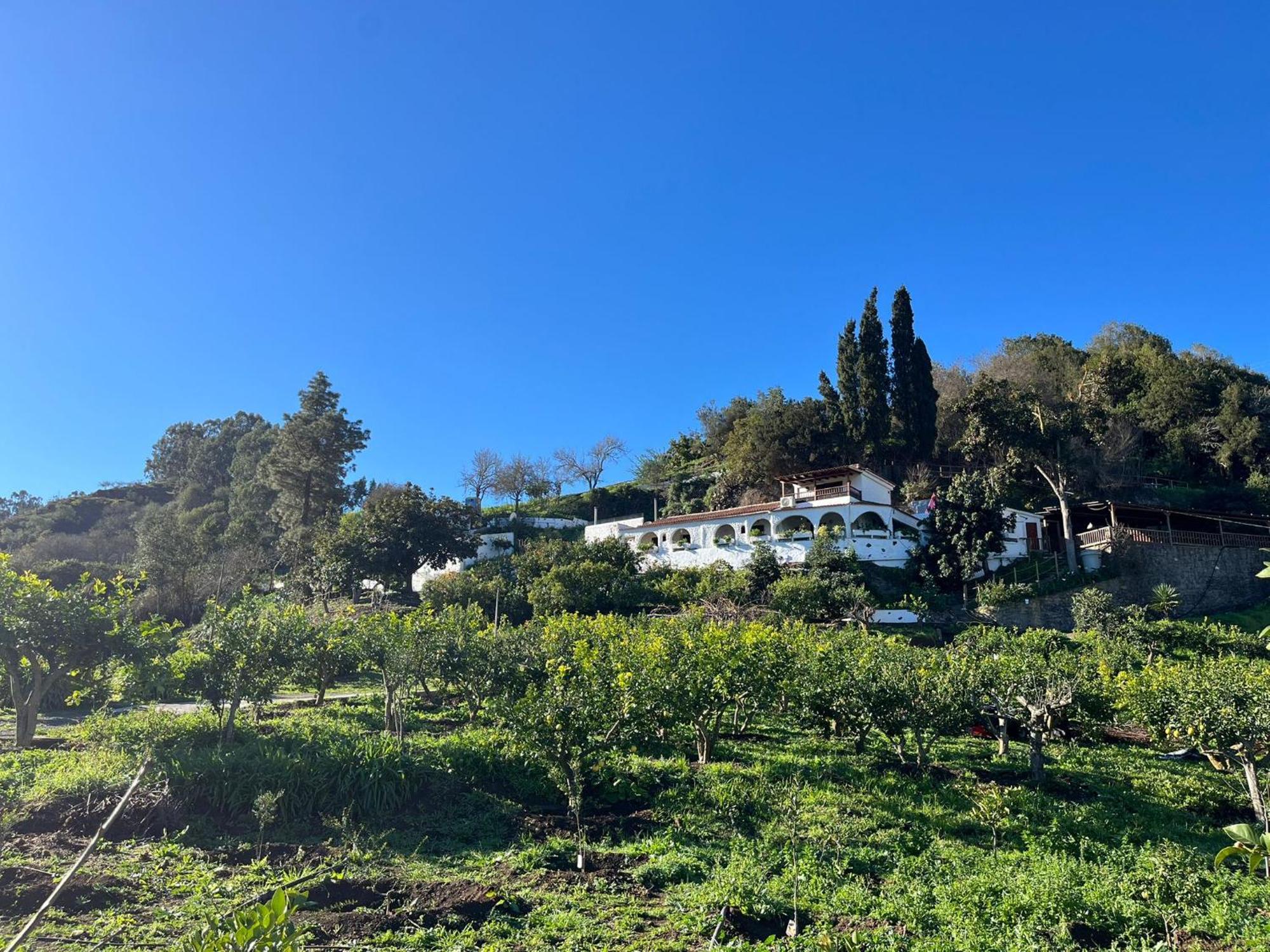 Appartamento Arcos Del Laurel