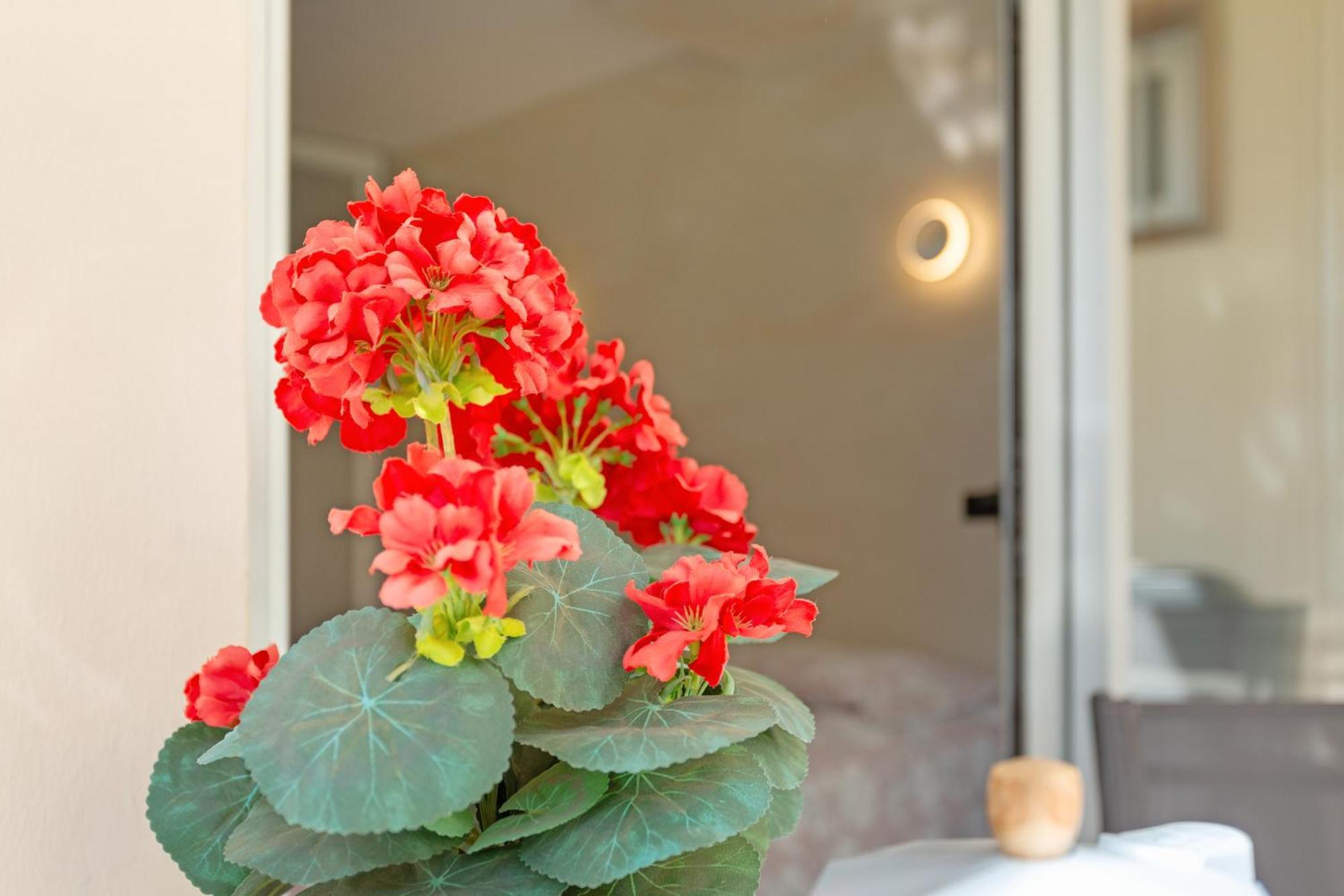 Apartamento Kellys' Camelias San Bartolomé