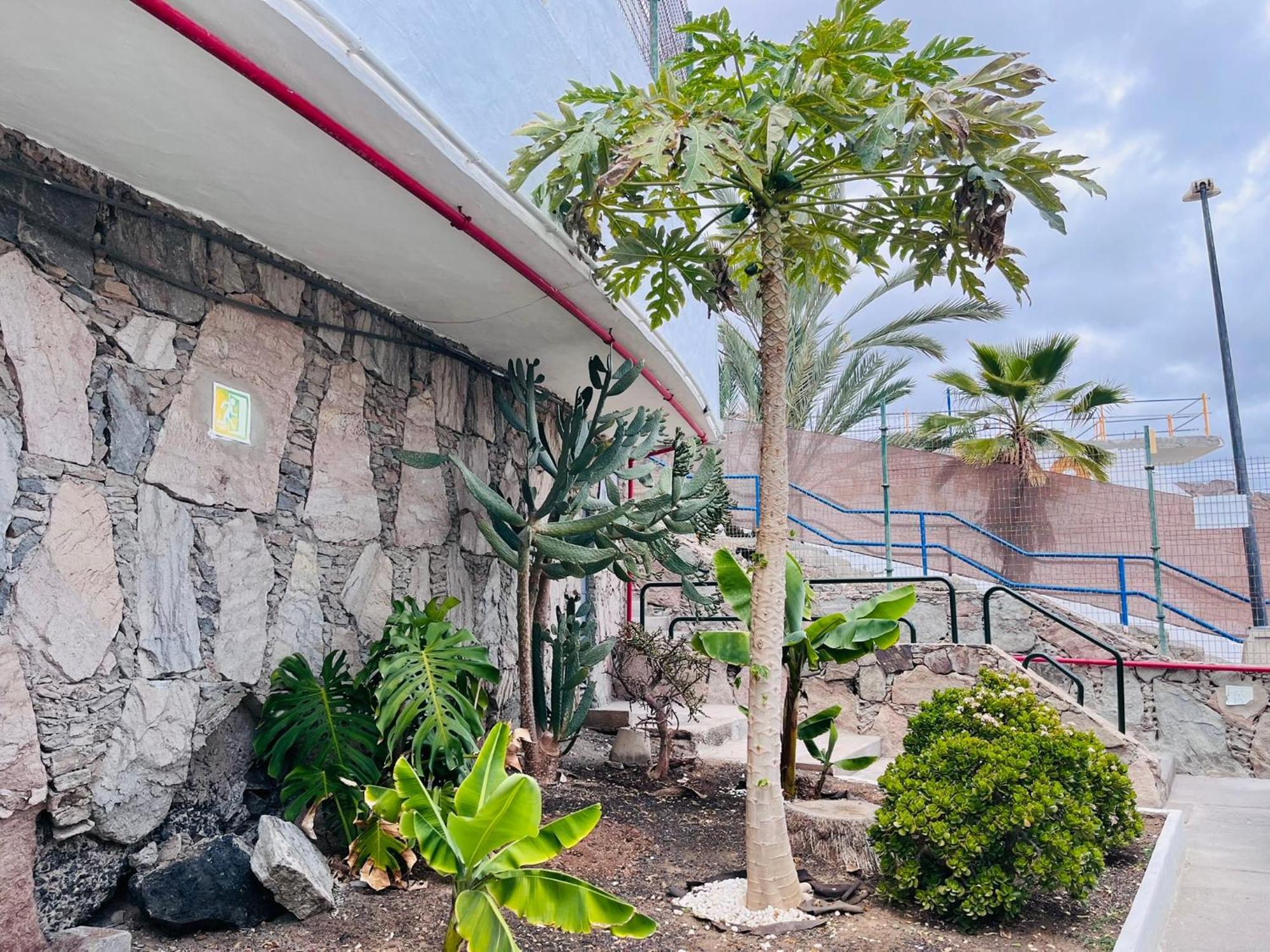 709 Cumana2 By Alquiler De Sueno Puerto Rico (Gran Canaria)