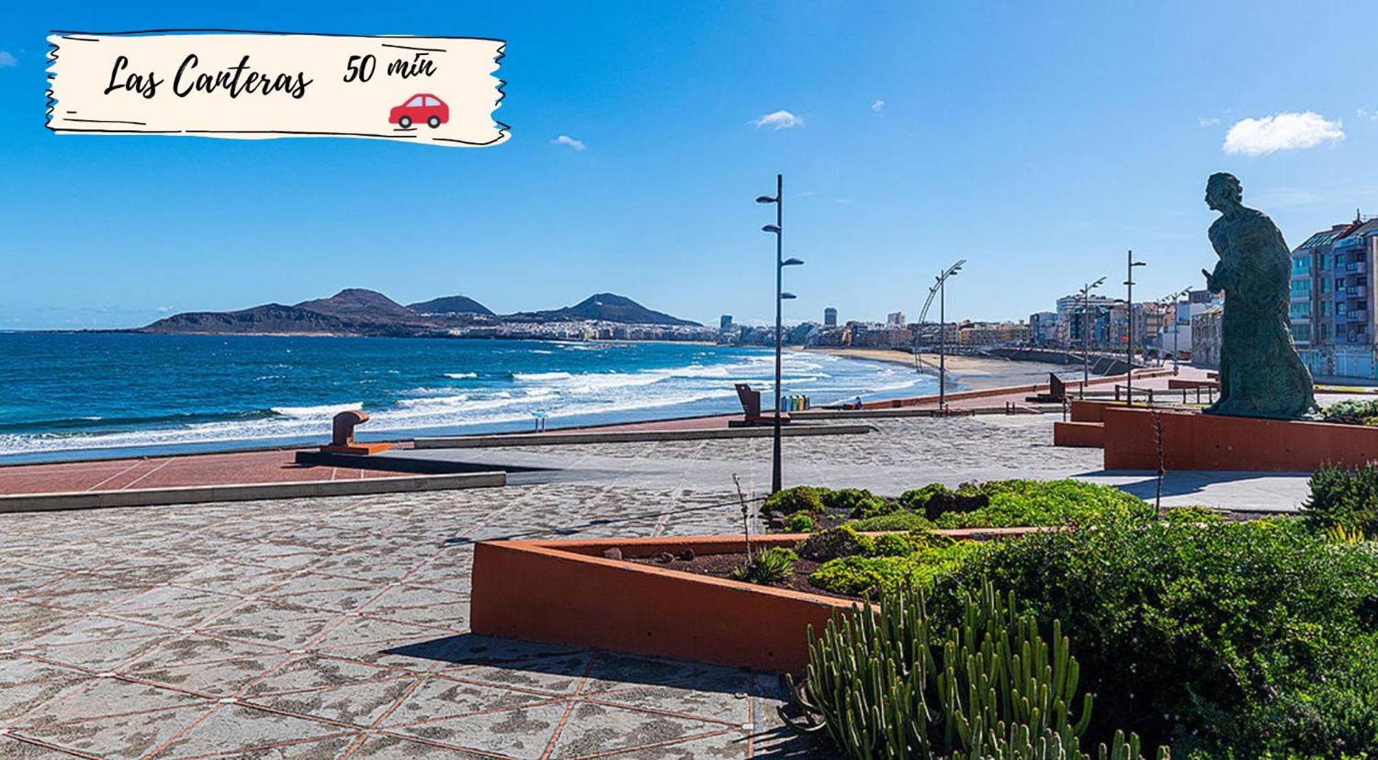 Nectarinas By Villagrancanaria *