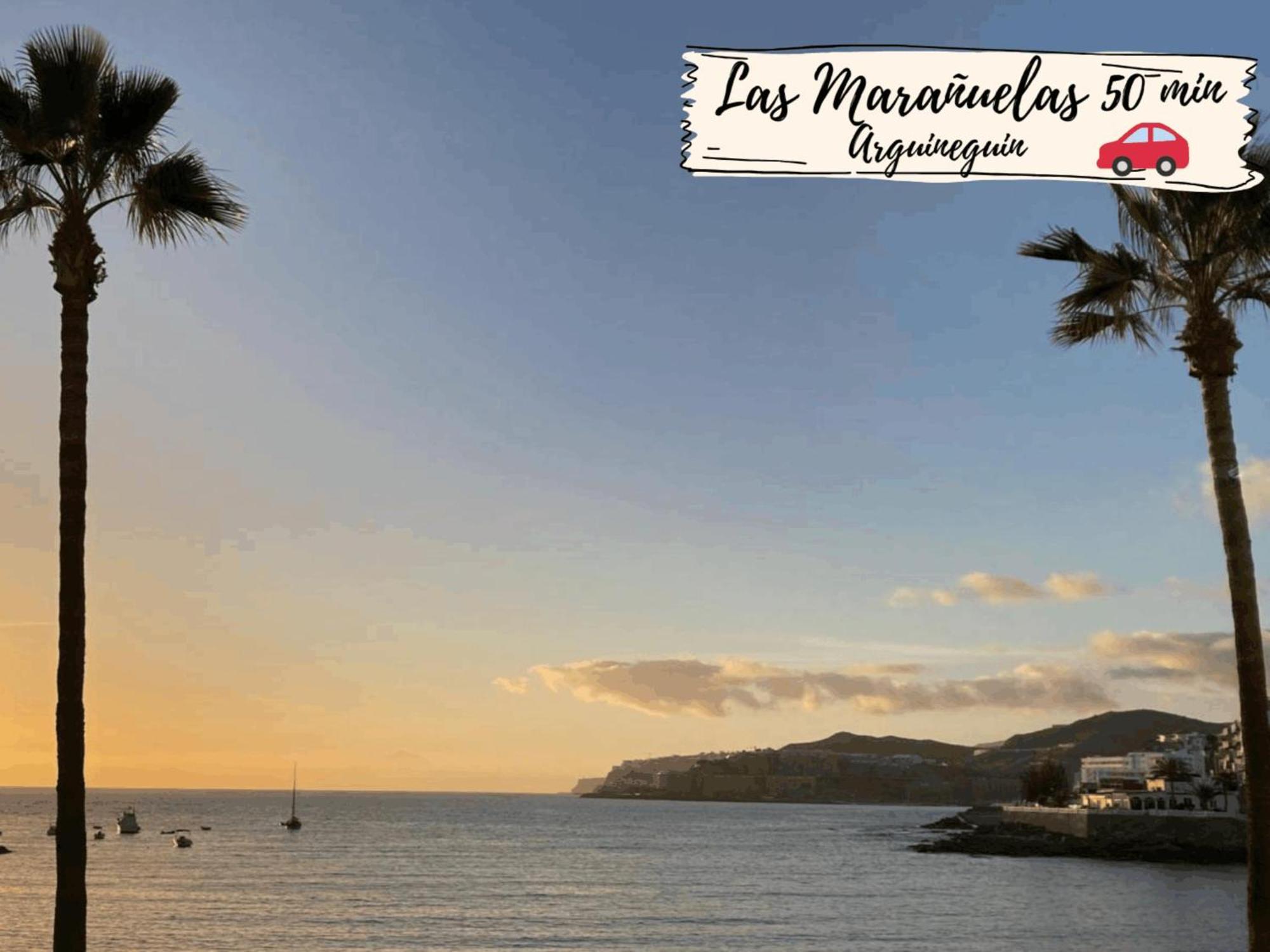 Apartamento Casa Alameda By Villagrancanaria