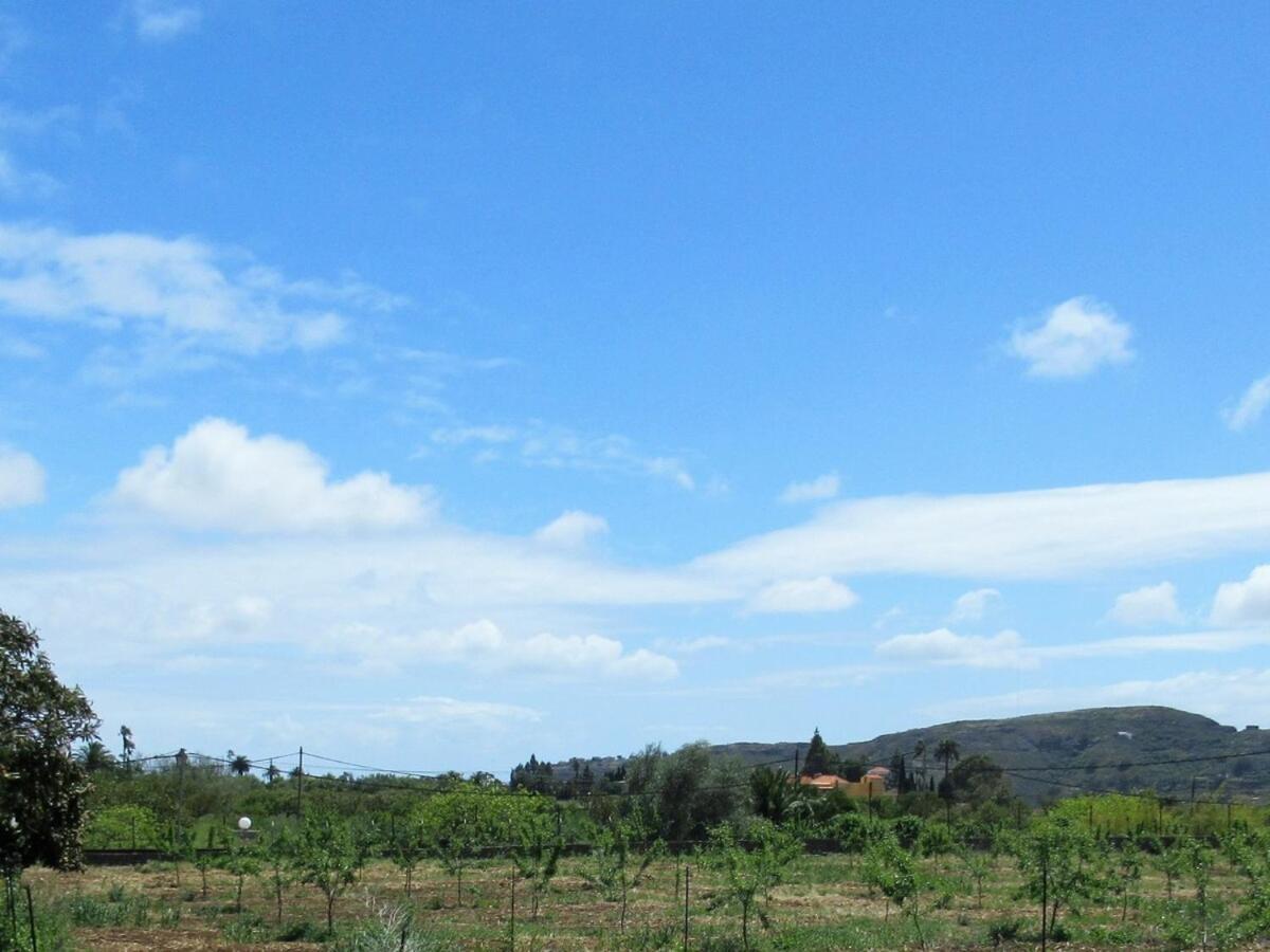 Сasa de vacaciones El Alpendre Vega de San Mateo