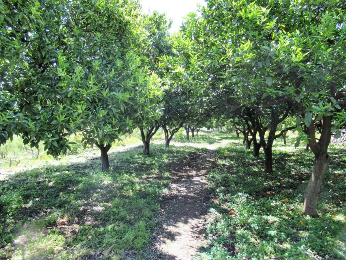 El Alpendre Vega de San Mateo