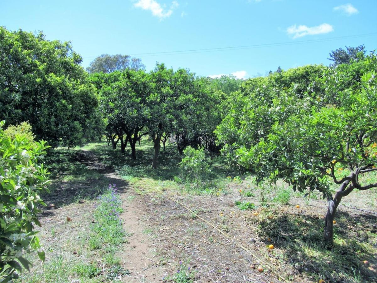 Сasa de vacaciones El Alpendre Vega de San Mateo