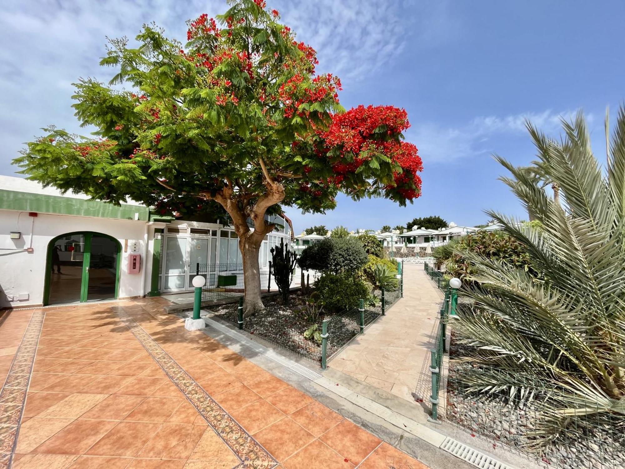 Vista Golf * Maspalomas (Gran Canaria)