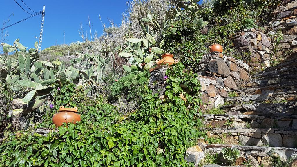 - Laendliches Haus, Pepita La De Flores Country house *