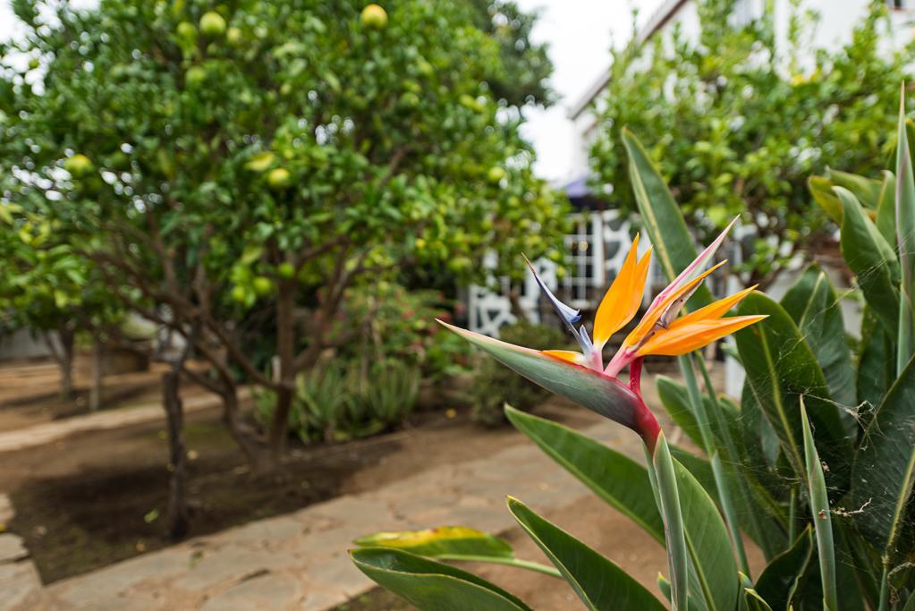 Lw Finca Valverde Del Aguila Villa