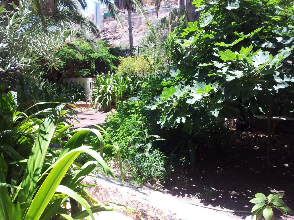 El Jardin Apartment Mogan