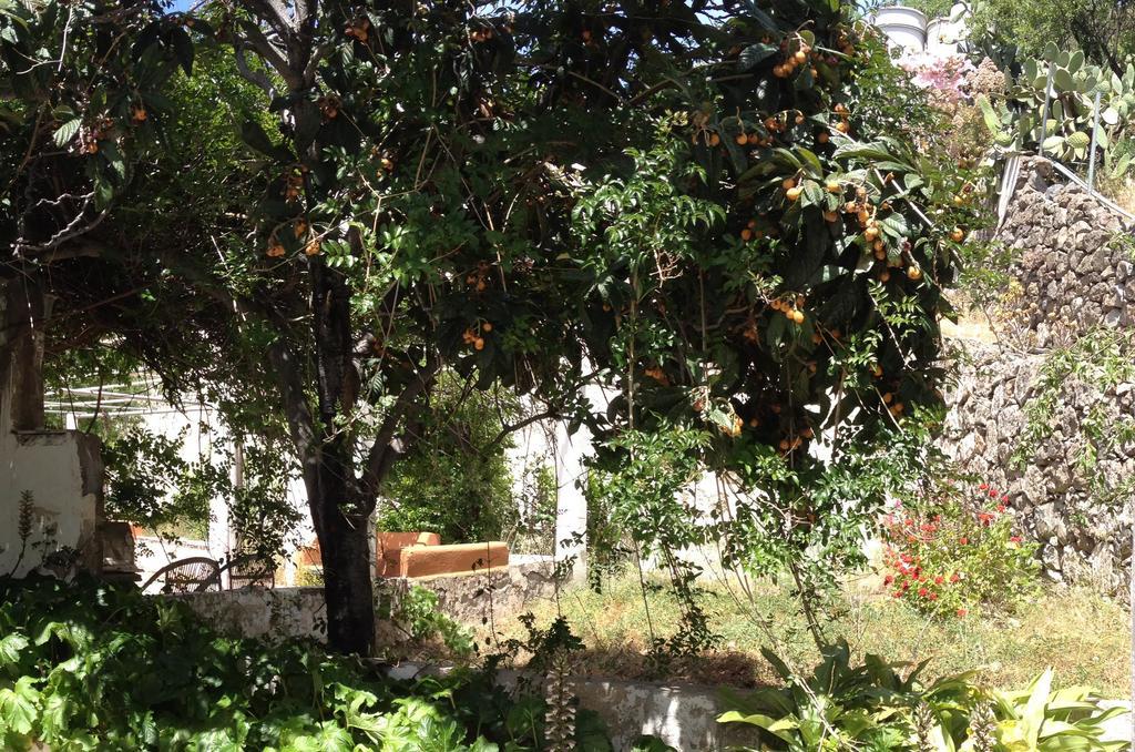 Casa Del Caminero En Tejeda Casa di campagna Tejeda (Gran Canaria)