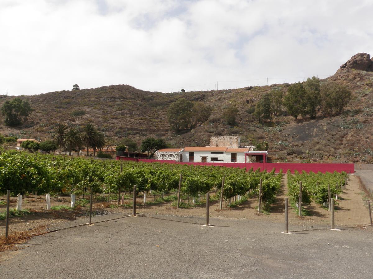 Finca La Salud Casa di campagna *