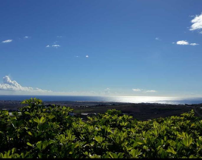 The Black Horse Canarias - Adults Only Country house