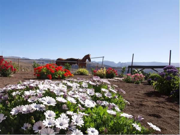 Country house The Black Horse Canarias - Adults Only *