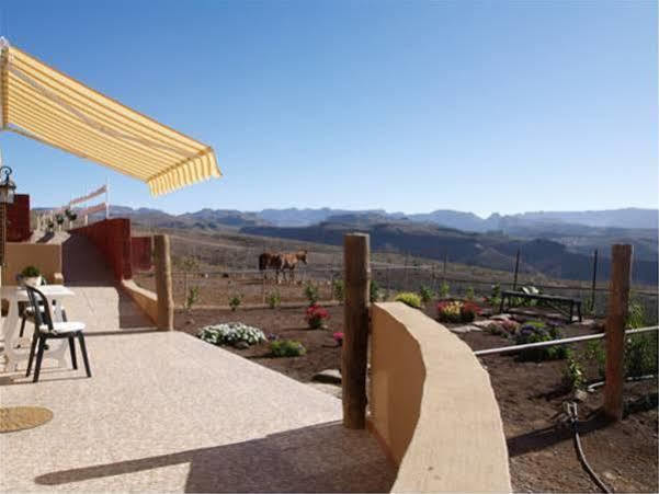 The Black Horse Canarias - Adults Only *