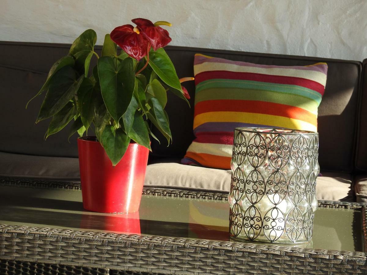 Jazmines Holiday home Agaete (Gran Canaria)
