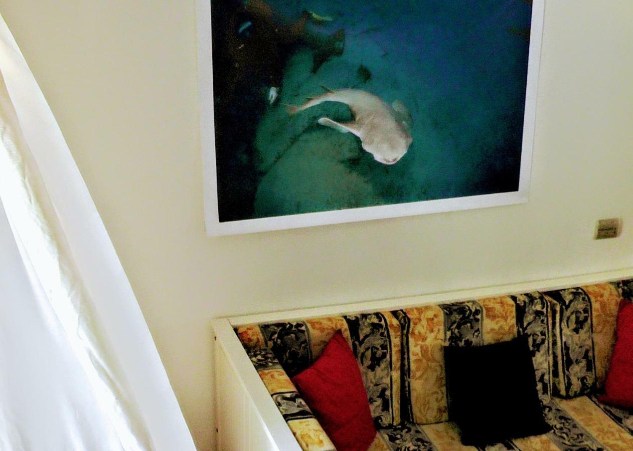 Hotel Blue Explorers 3*