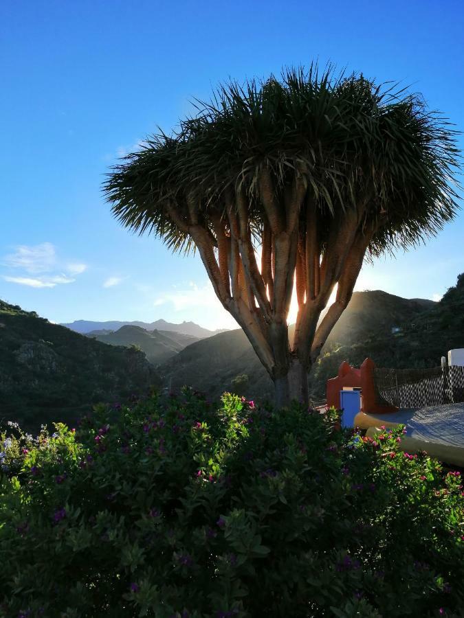Country house Vivelorural Casa La Cuevita, *