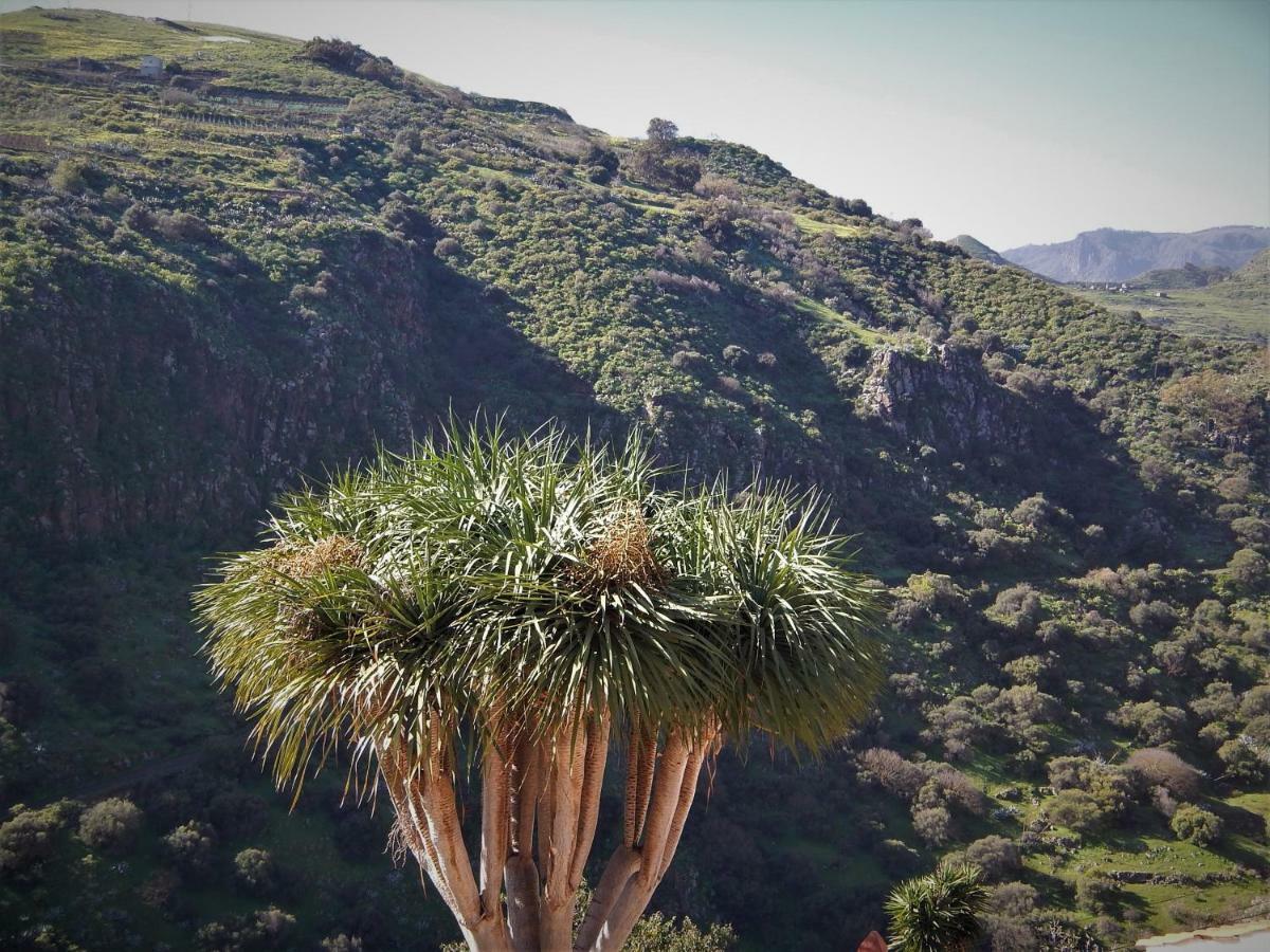 Country house Vivelorural Casa La Cuevita, Santa Brigida (Gran Canaria)