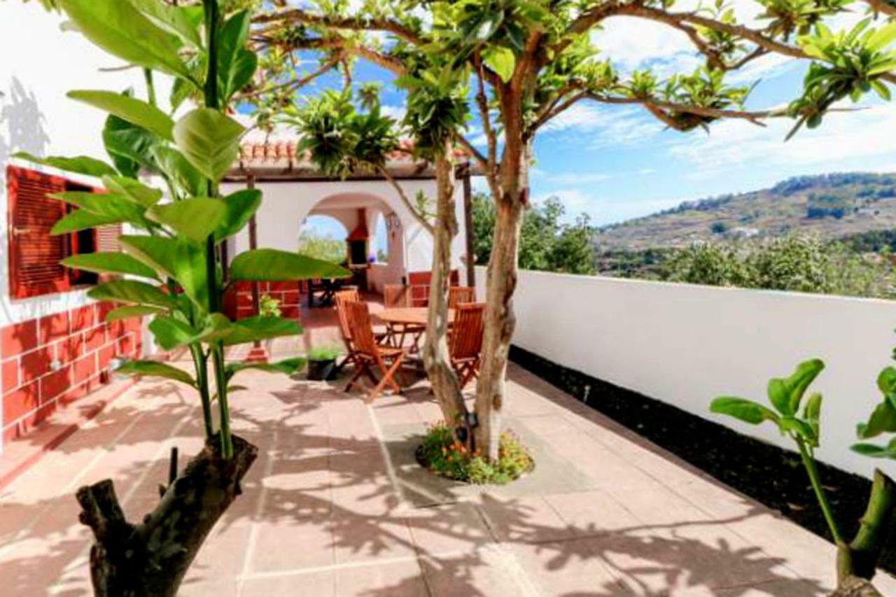 Hacienda Orange Garden