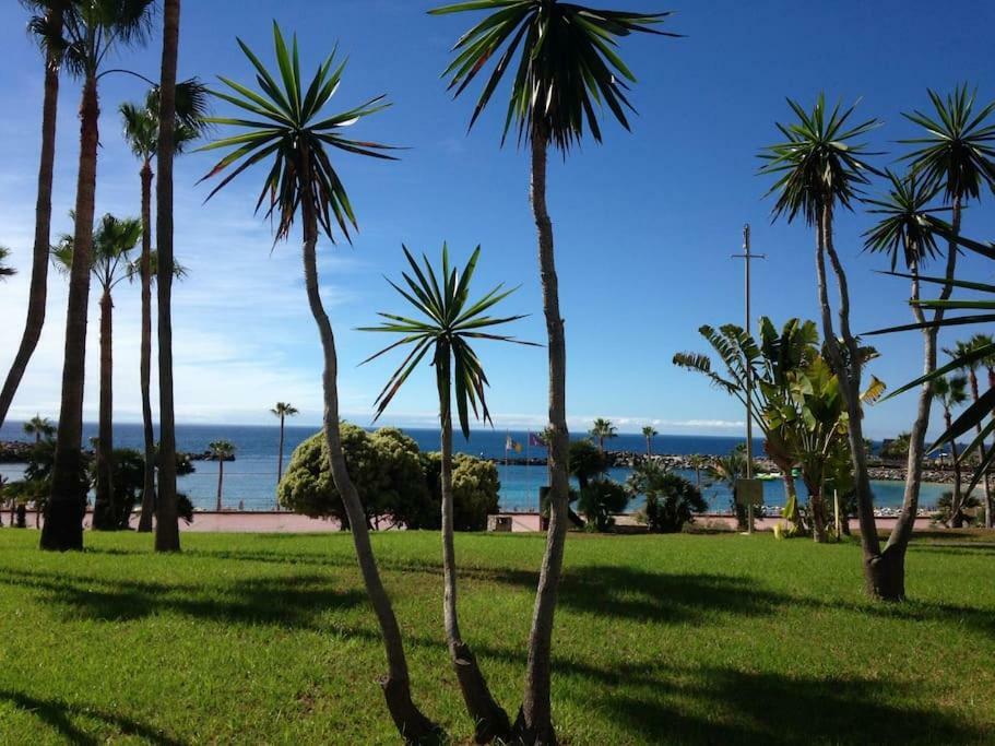 Pool View Yard Playa del Ingles (Gran Canaria)