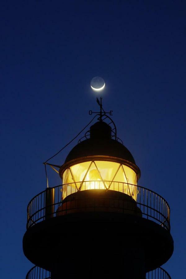Faro *
