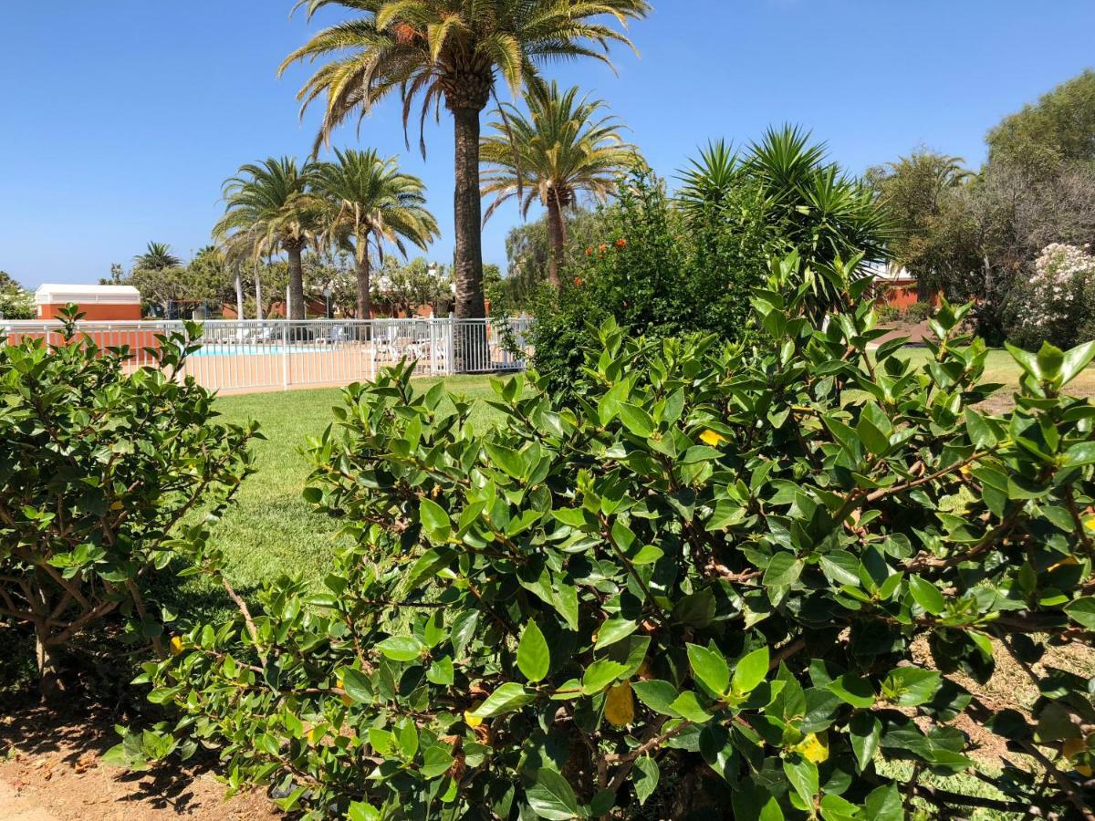Tc Melocotones 15 Campeggio Maspalomas (Gran Canaria)