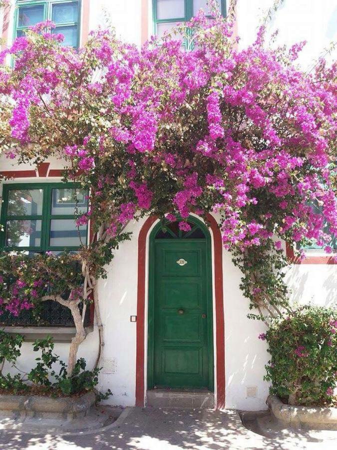 Estrella Del Mar Amazing Loft Casa Cosy Apartment *